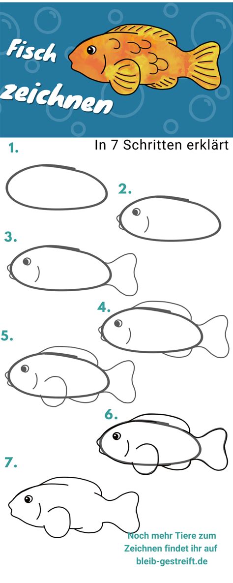 fische zeichnungen|fische zeichnen anleitungen.